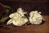 White Canvas Paintings - Branch Of White Peonies With Pruning Shears